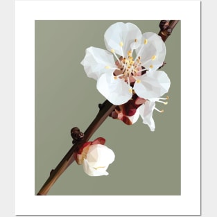 Low Poly Plum Blossom Posters and Art